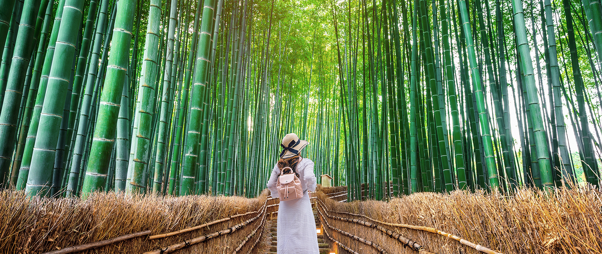6D4N OSAKA/KOBE/KYOTO/NARA [JQQ-8]